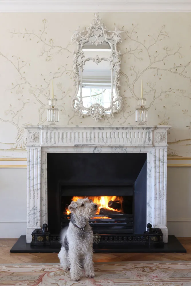 Обои для стен De Gournay Chinoiserie 0512_03