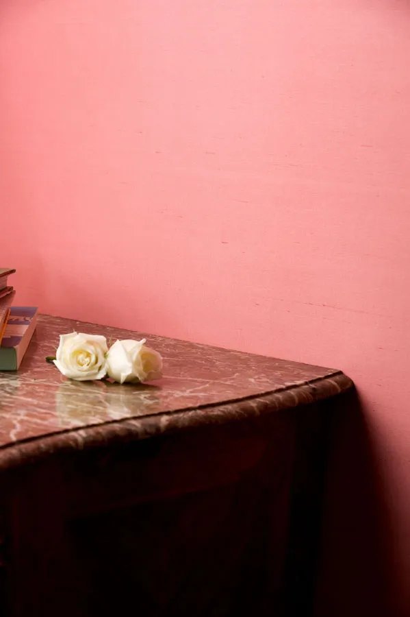 Обои для стен De Gournay Plains 2012