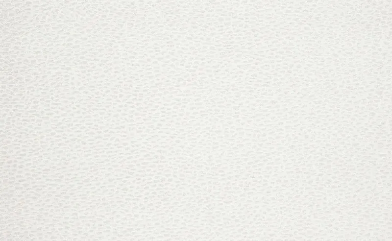 Обои для стен Sahco Fine Wallcoverings V W133-01