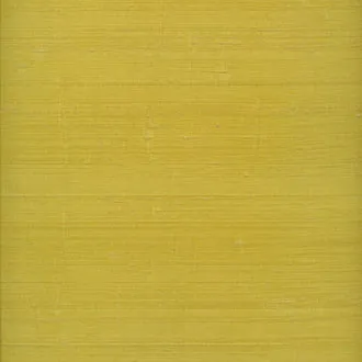 Обои для стен Elitis Forever RM 645 20