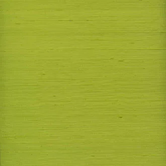 Обои для стен Elitis Forever RM 645 62