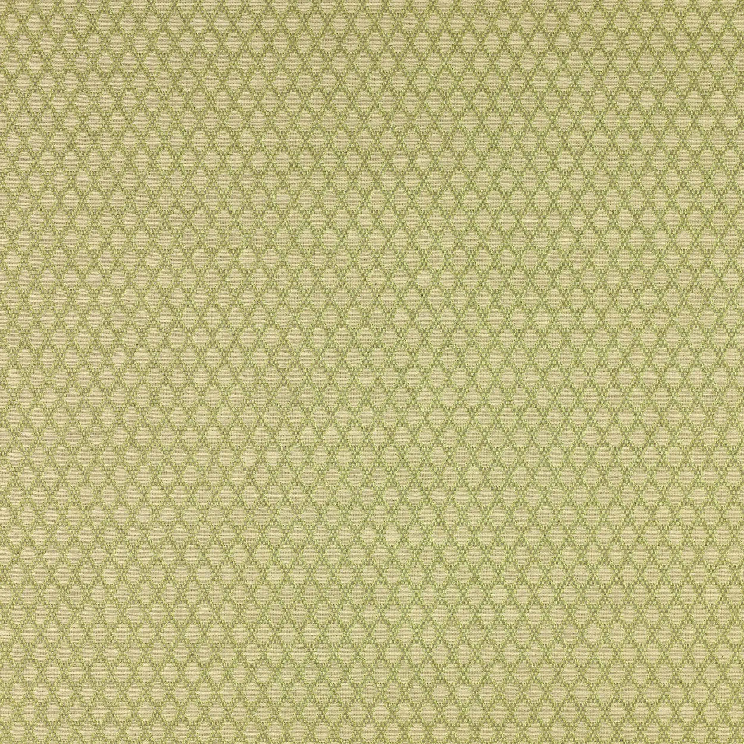 Ткань Colefax and Fowler Alberry F3921/03