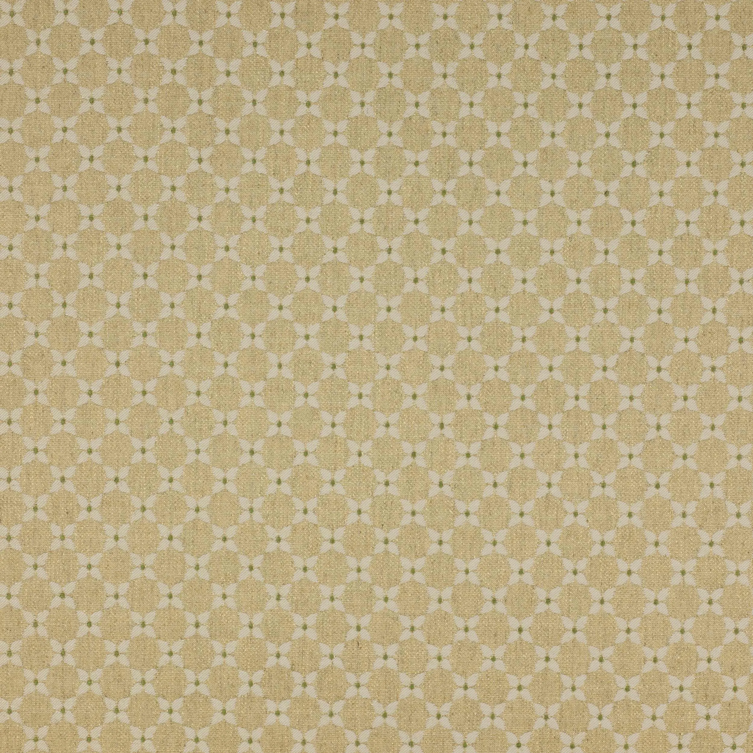 Ткань Colefax and Fowler Amersham F3626/03