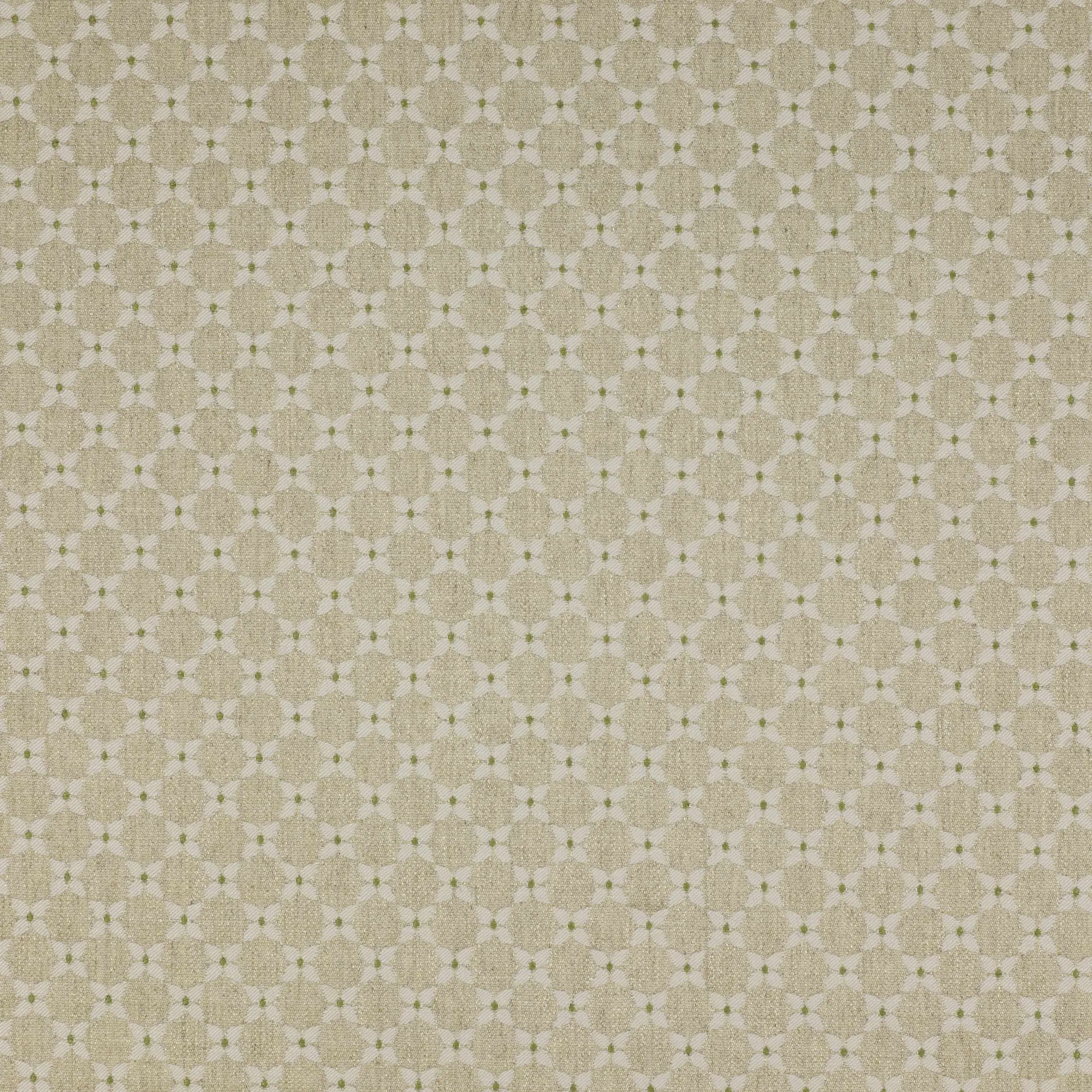 Ткань Colefax and Fowler Amersham F3626/01