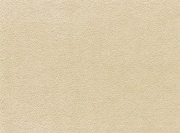 Ткань Nina Campbell Brodie Weaves NCF4143-07