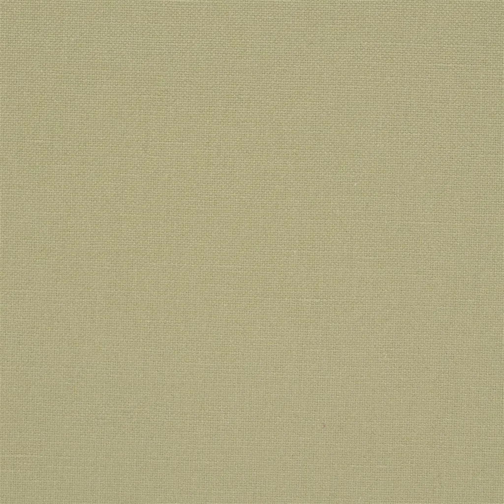 Ткань Designers Guild Manzoni FDG2255/33