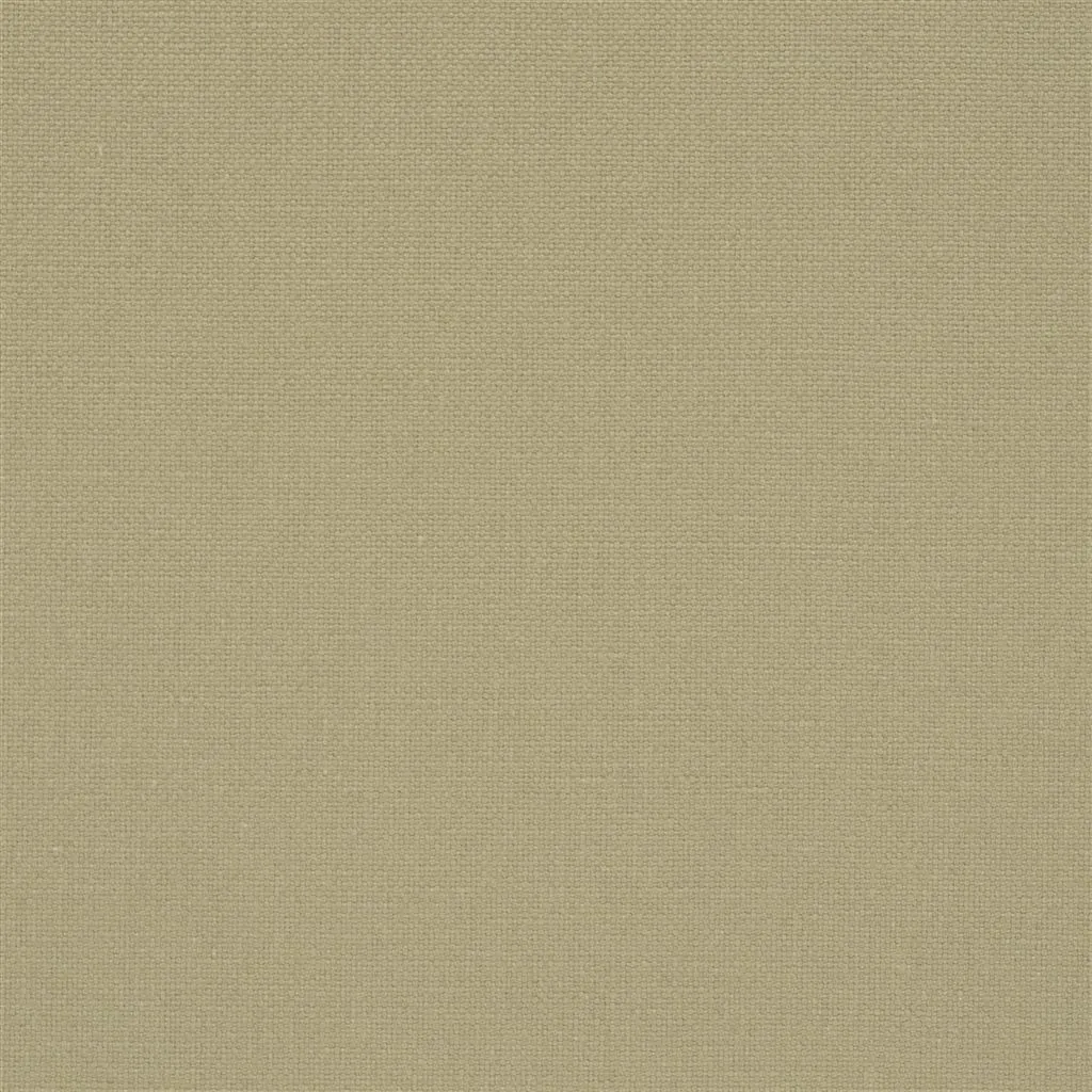 Ткань Designers Guild Manzoni FDG2255/34