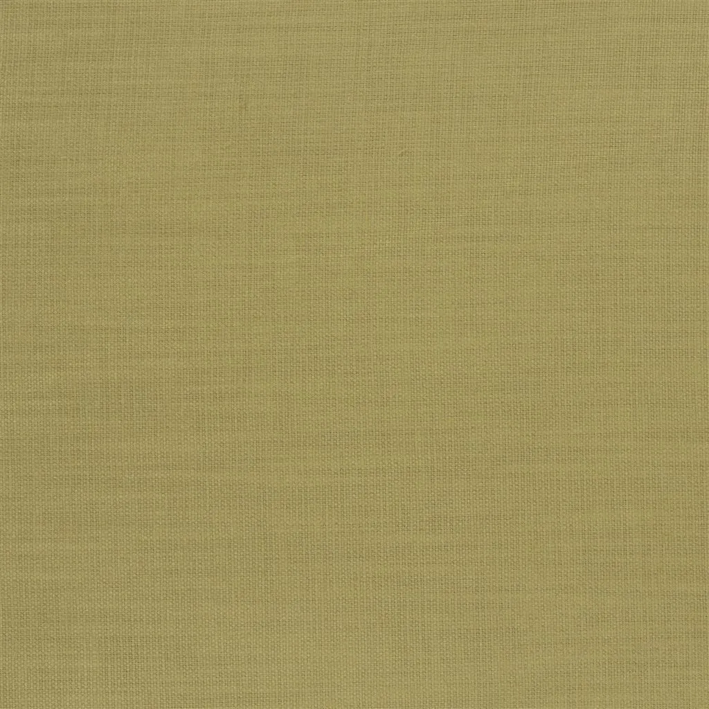 Ткань Designers Guild Orba FDG2268/25