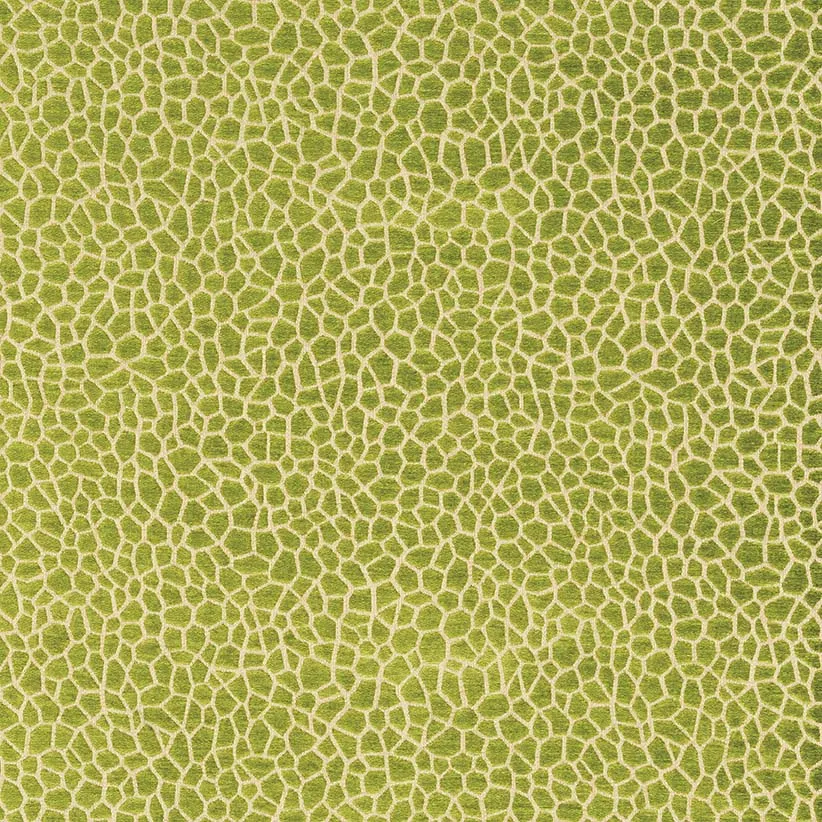 Ткань Matthew Williamson Samana F6632-01