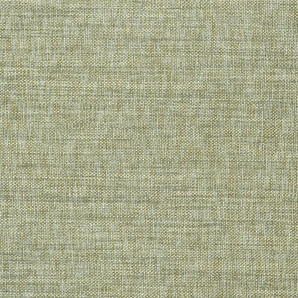 Ткань Designers Guild Ishida F1393/11