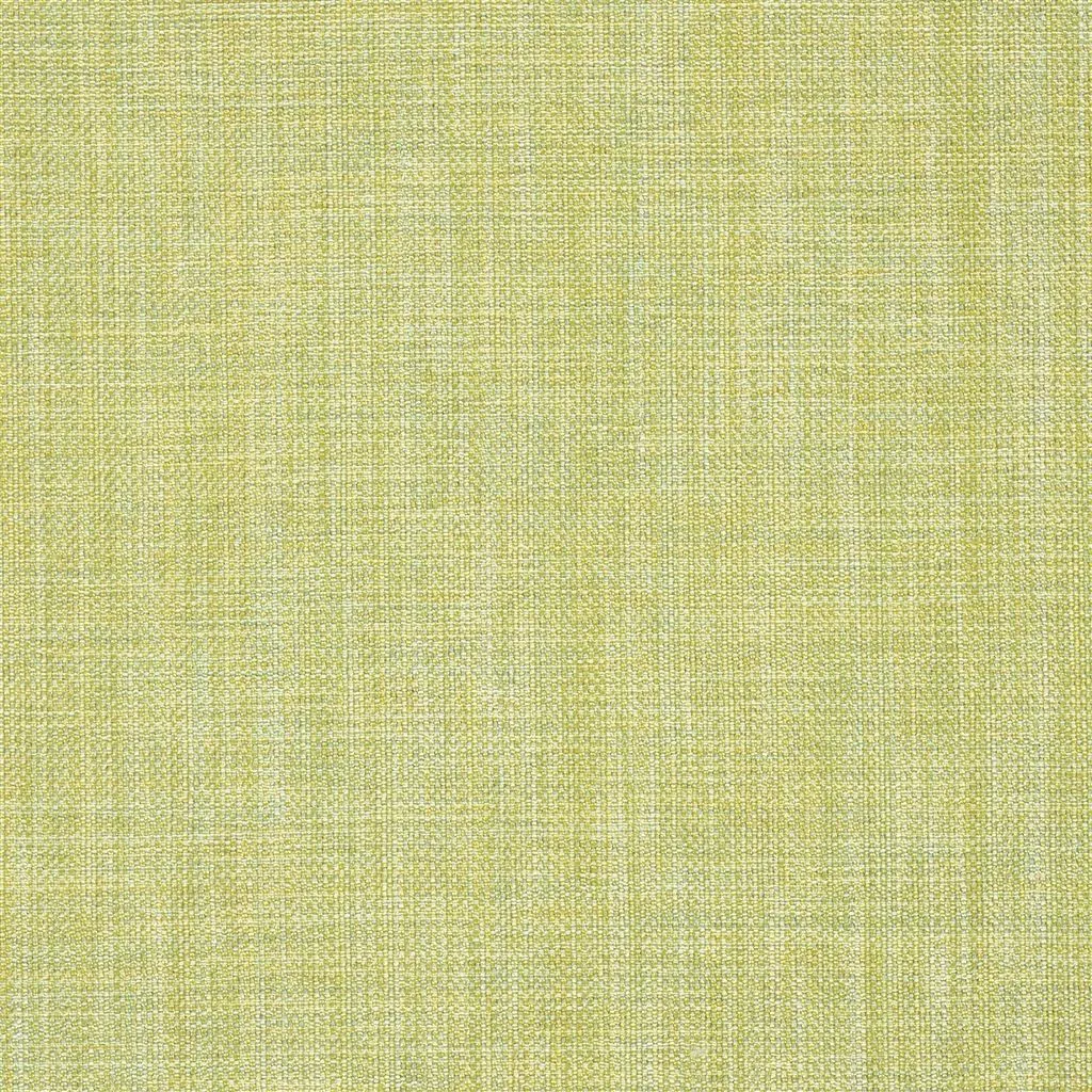 Ткань Designers Guild Ishida F1393/41