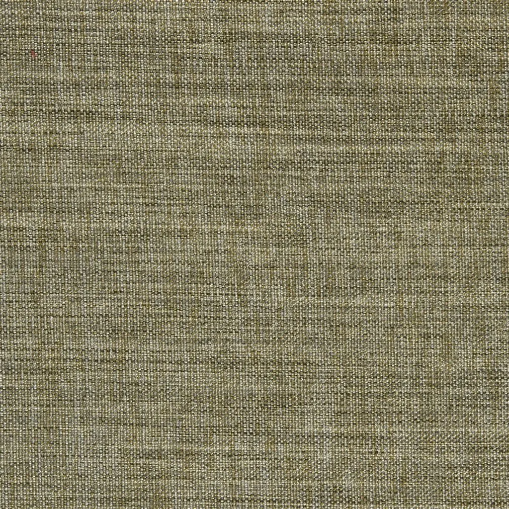 Ткань Designers Guild Ishida F1393/17