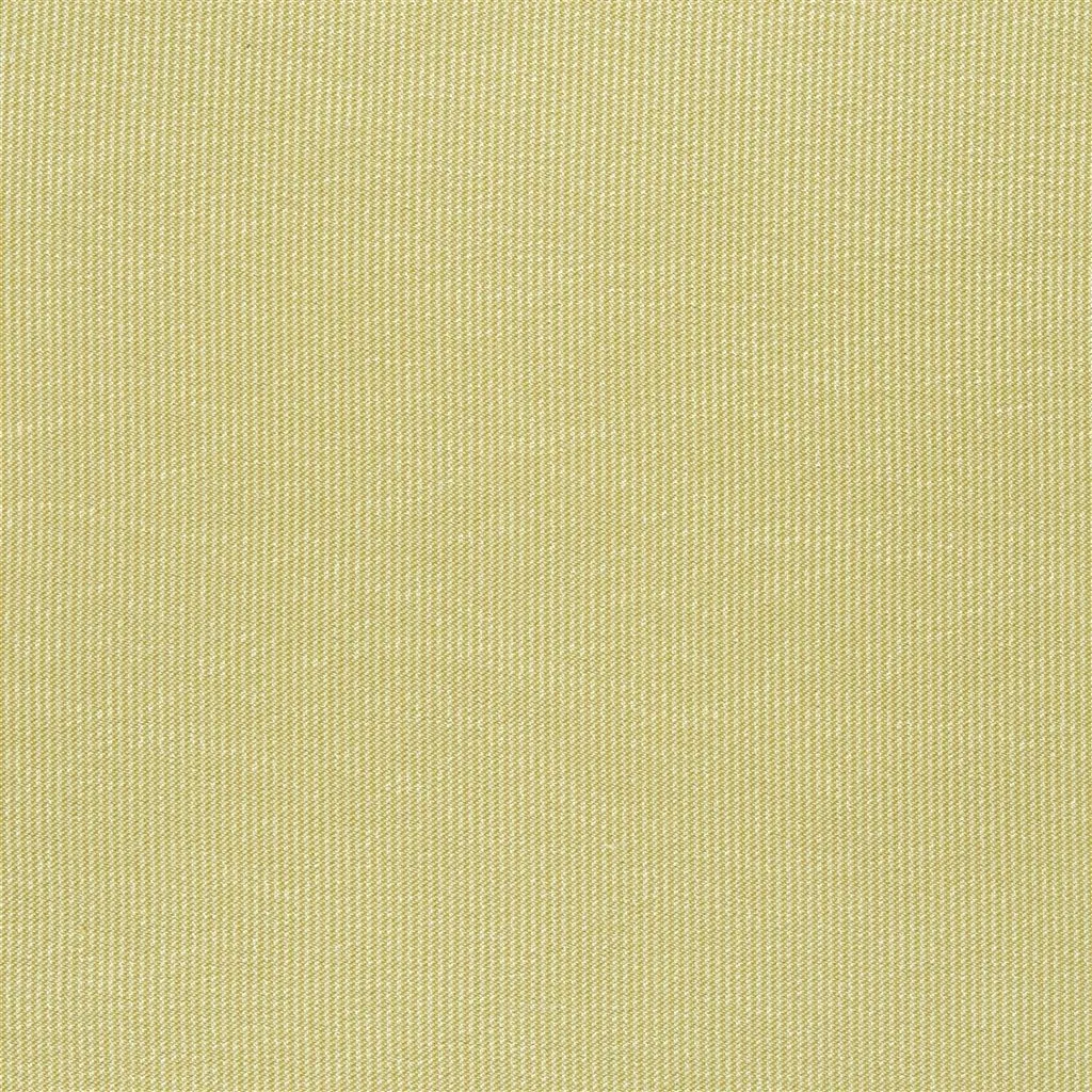 Ткань Designers Guild Satinato II F1555/21