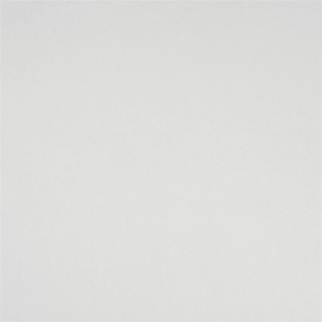 Ткань Designers Guild Satinato II F1614/02