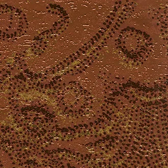 Обои для стен Elitis Mille millions VP 862 02