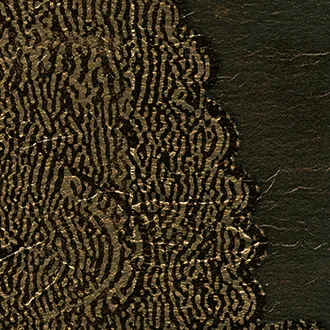 Обои для стен Elitis Mille millions VP 871 04