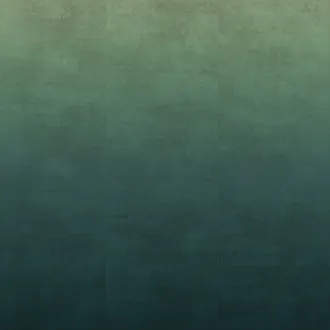 Обои для стен Elitis Mille millions VP 872 02