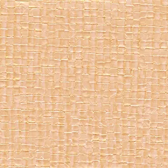 Обои для стен Elitis Parade VP 640 27