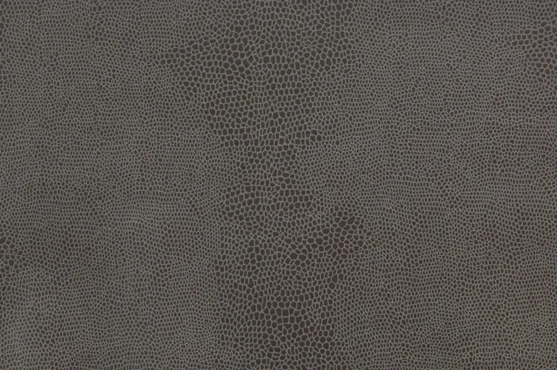 Ткань Pierre Frey Zen F2762001