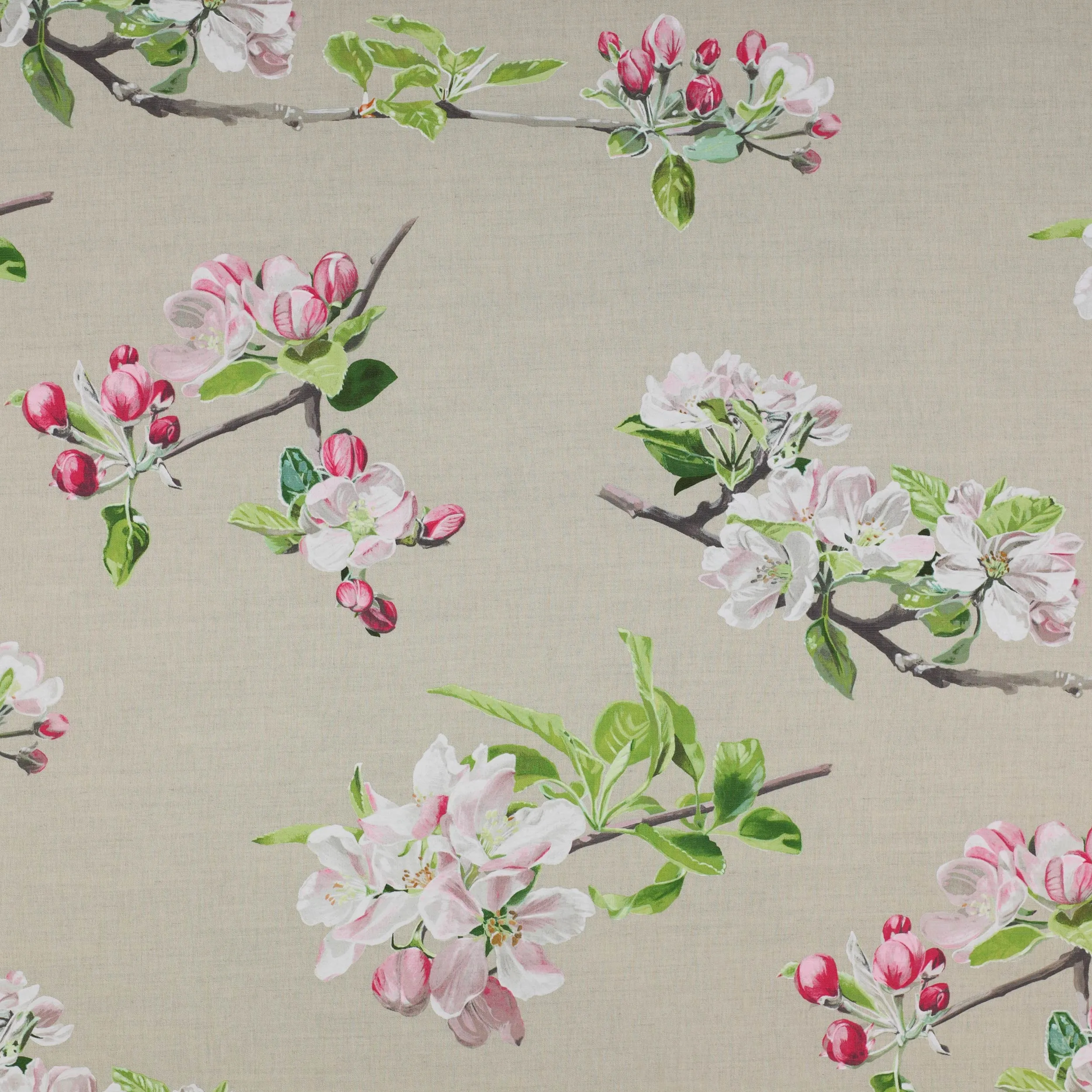 Ткань Manuel Canovas Serendip 04812/01