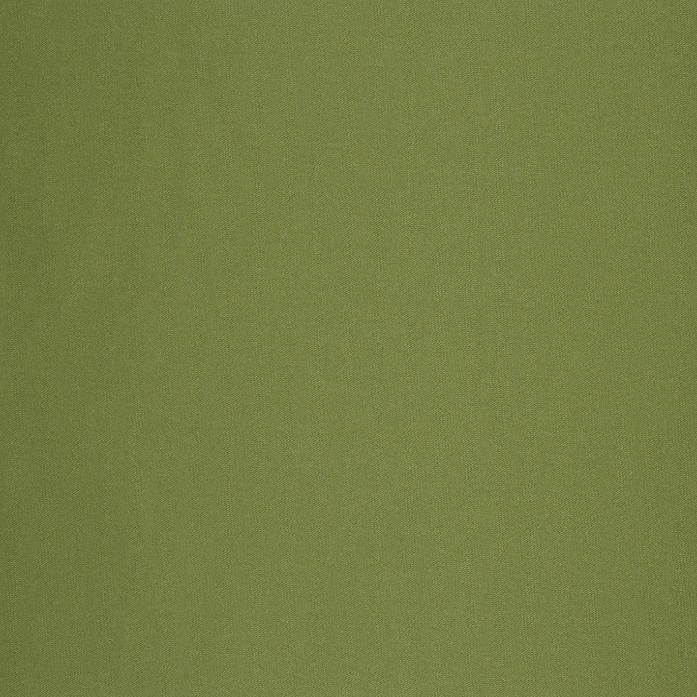 Ткань Designers Guild Iona F1991/24