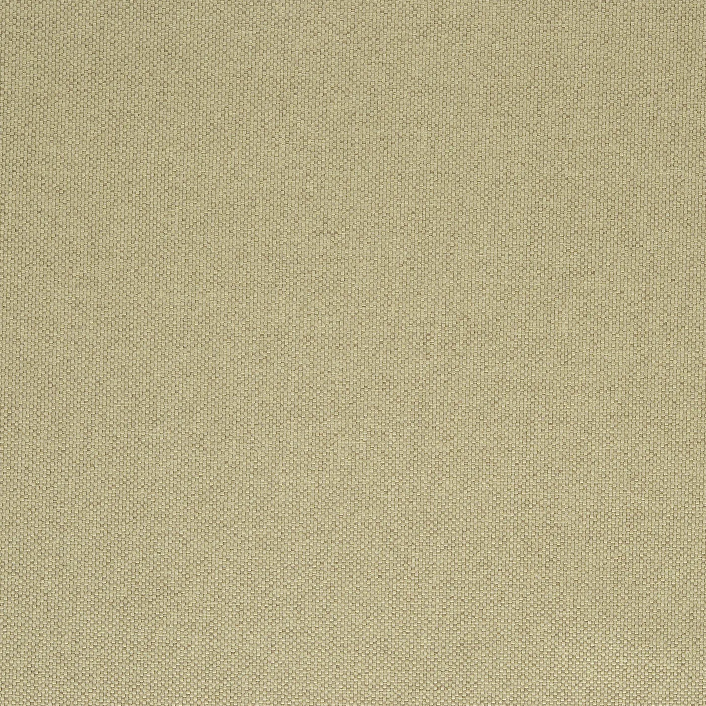 Ткань Designers Guild Cara FT1976/12