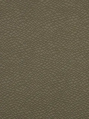 Ткань Robert Allen Larry Laslo Artisan quartzstone OPAL CREEK TRUFFLE