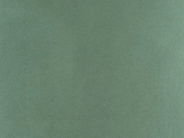 Ткань Designers Guild Satinato F1505/21