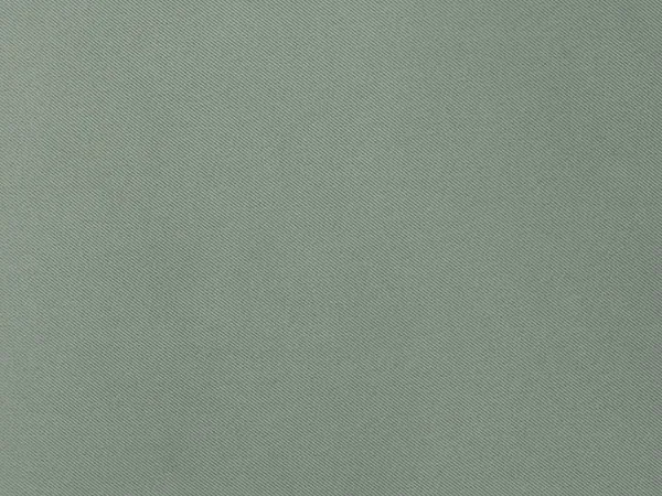 Ткань Designers Guild Satinato F1505/30