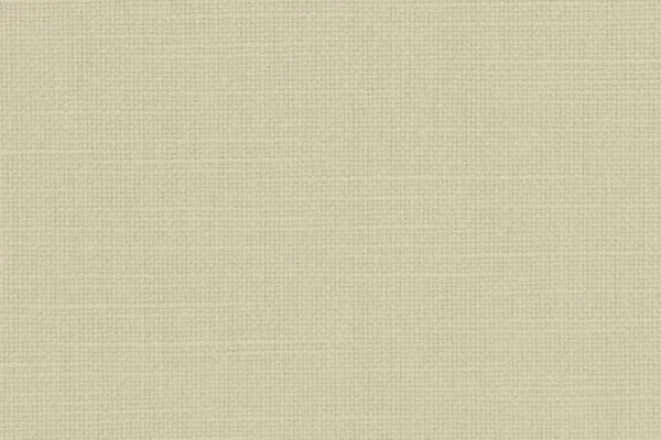 Ткань Designers Guild Salso F1797/06