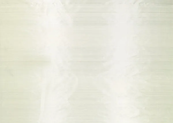 Ткань Designers Guild Chambord F1520/02