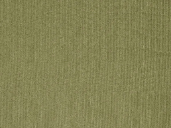 Ткань Designers Guild Chinaz F1352/56