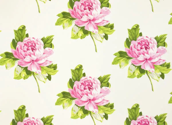 Ткань Designers Guild Sofienberg F1800/03