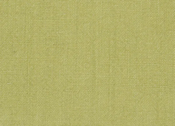 Ткань William Yeoward Aranjasa Weaves FW066/09