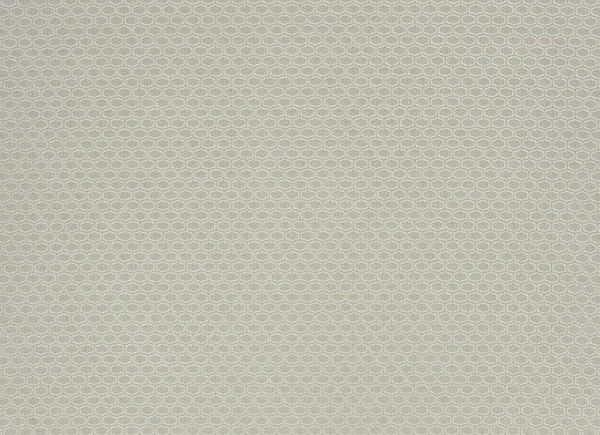 Ткань Designers Guild Castellani F1940/01