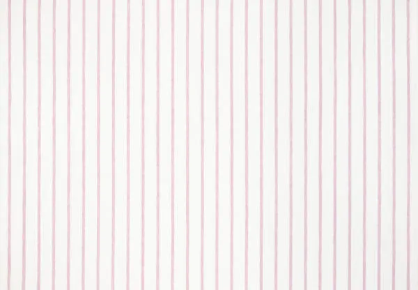 Ткань Designers Guild Brera rigato F1791/07