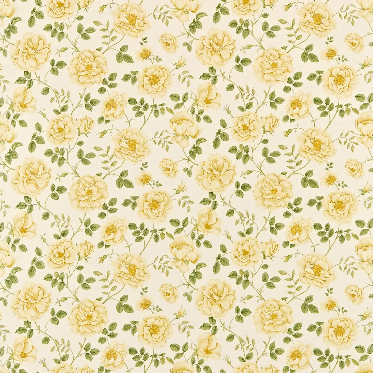 Ткань Sanderson A Painter's Garden DAPGRO202