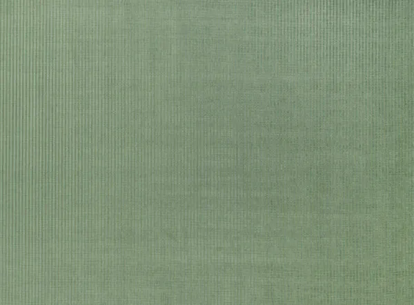 Ткань Designers Guild Maitland F1574/04