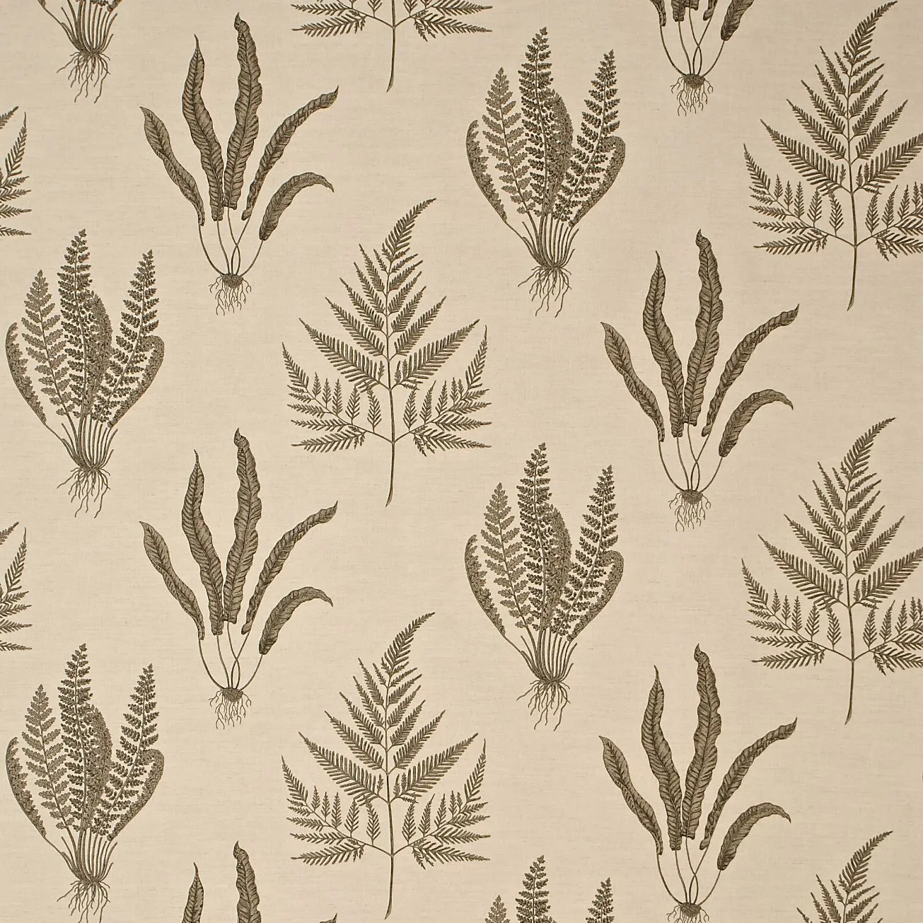 Ткань Sanderson A Painter's Garden DAPGWO203