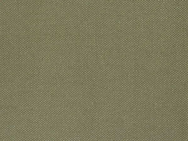 Ткань Designers Guild Bassano F1562/05