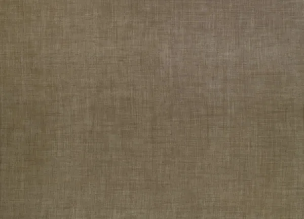 Ткань Designers Guild Molveno F1237/21