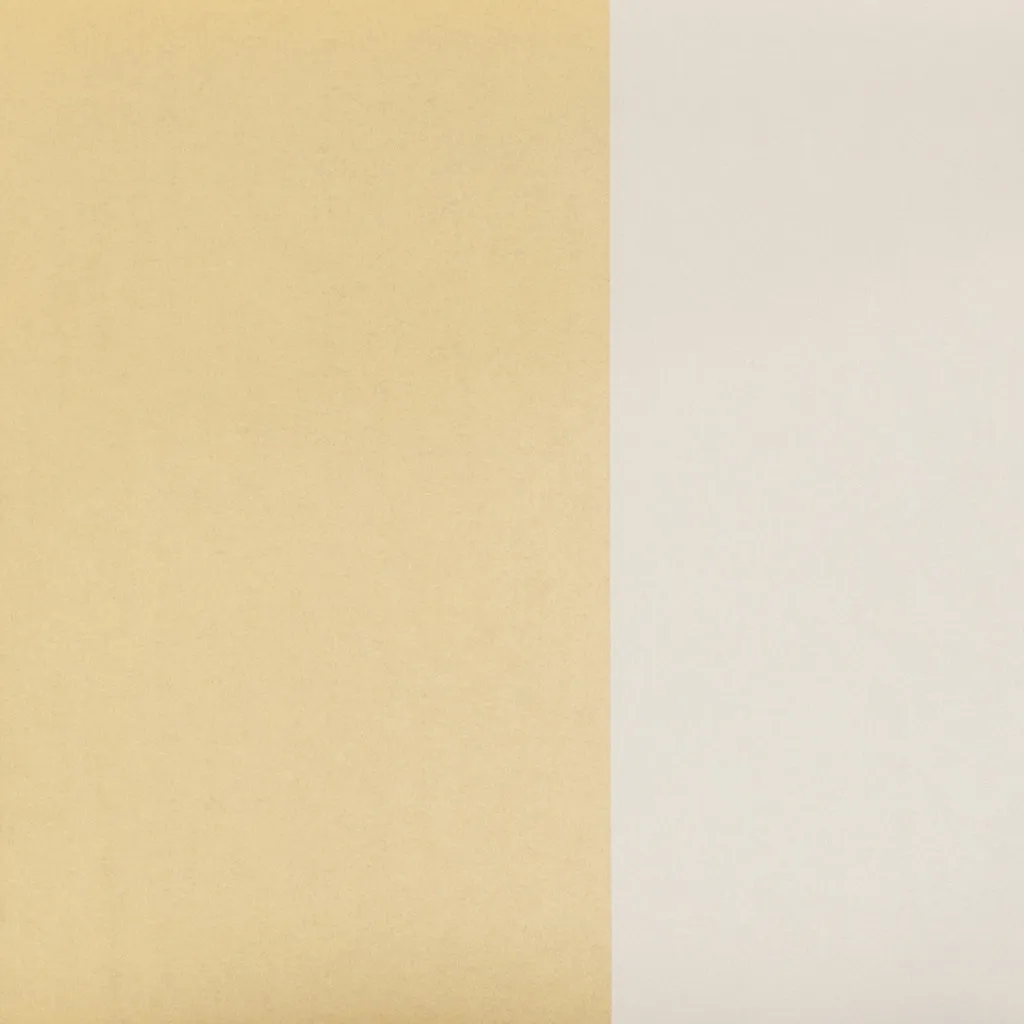 Обои для стен Dedar Viceversa d19034