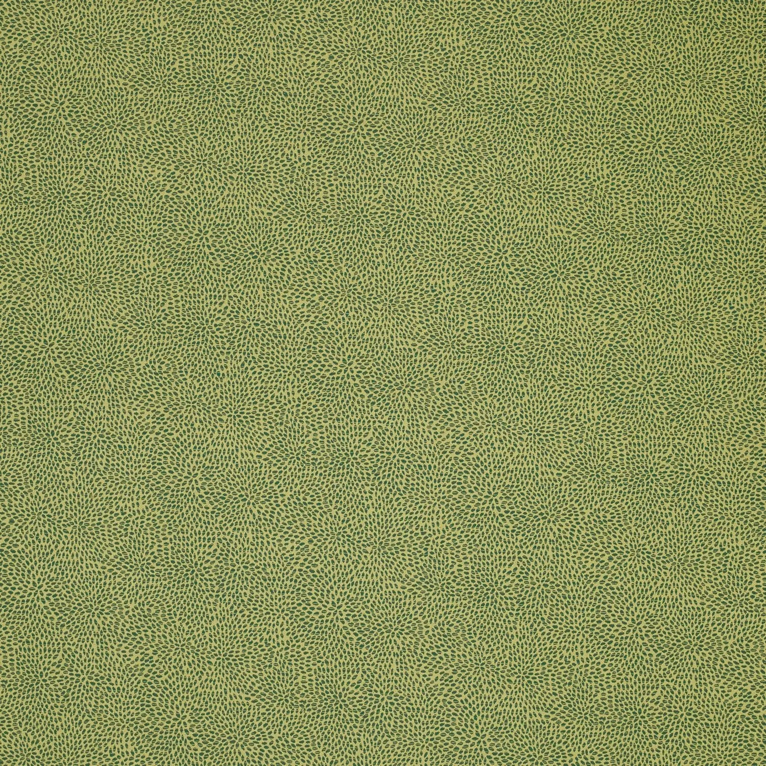 Ткань James Hare Corolla 31597-09