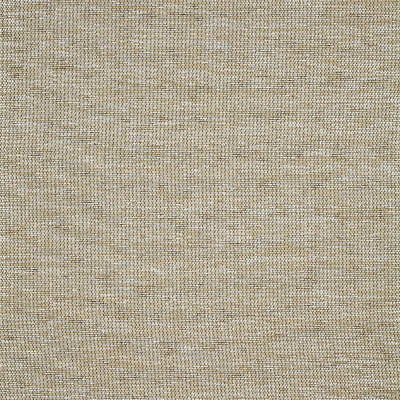 Ткань Anthology Lucio 131748