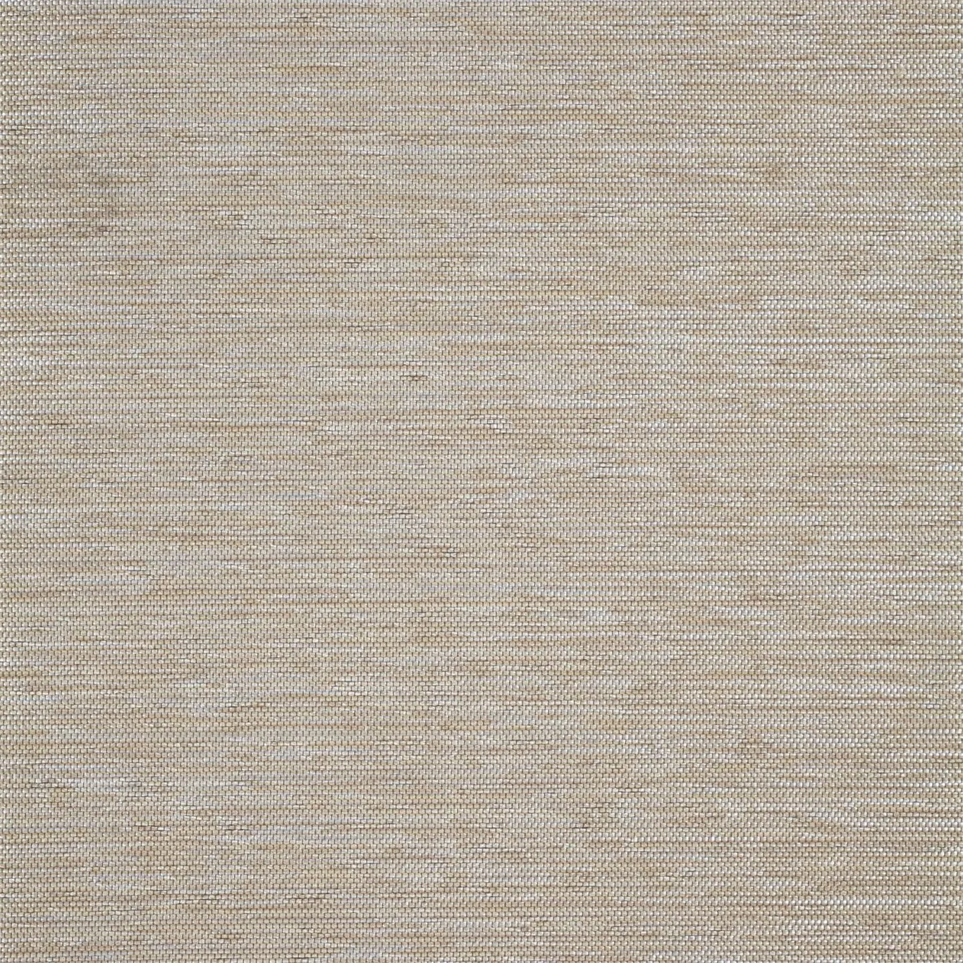 Ткань Anthology Lucio 131749