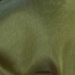 Ткань Henry Bertrand Organzas ORG171W