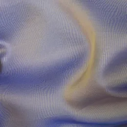 Ткань Henry Bertrand Organzas ORG302W