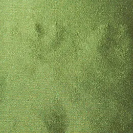 Ткань Henry Bertrand Taffeta Comtessa TAFCOMT348