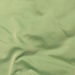 Ткань Henry Bertrand Peau De Soie PDS138