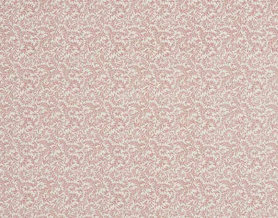 Обои для стен Braquenie Braquenier Wallpapers 403_BP205001